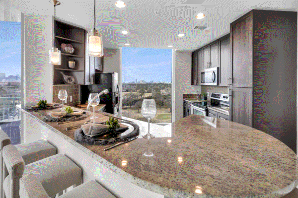 Allure Hermann Park at Med Center - Photo 3 of 48