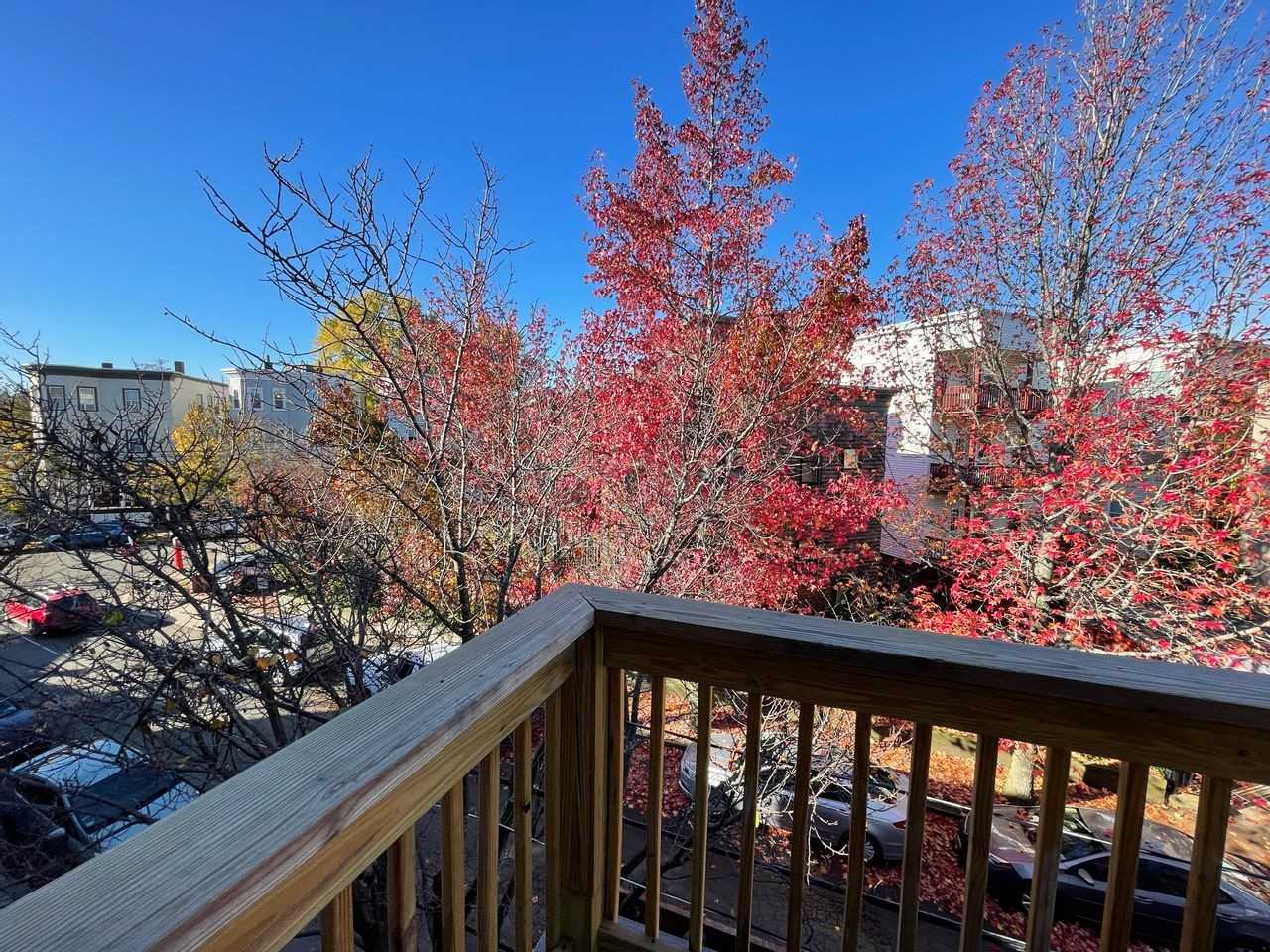 15 Harold St #3 - Photo 5 of 20