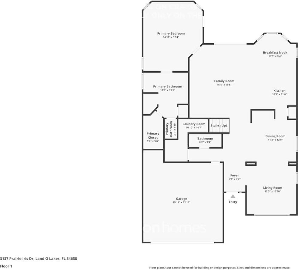 3137 Prairie Iris Dr - Photo 2 of 18