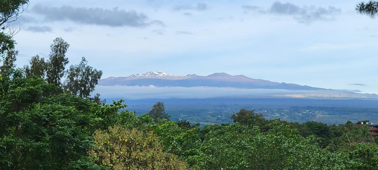 355 Kalanianaole St #1 - Photo 6 of 7