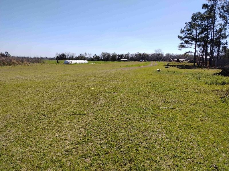 157 Henry Miller Rd #157 - Photo 2 of 2