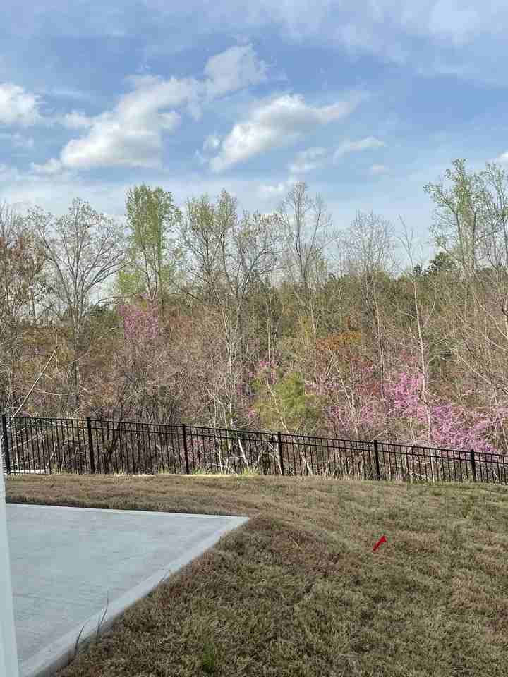 1032 Mountain Crown St - Photo 3 of 15