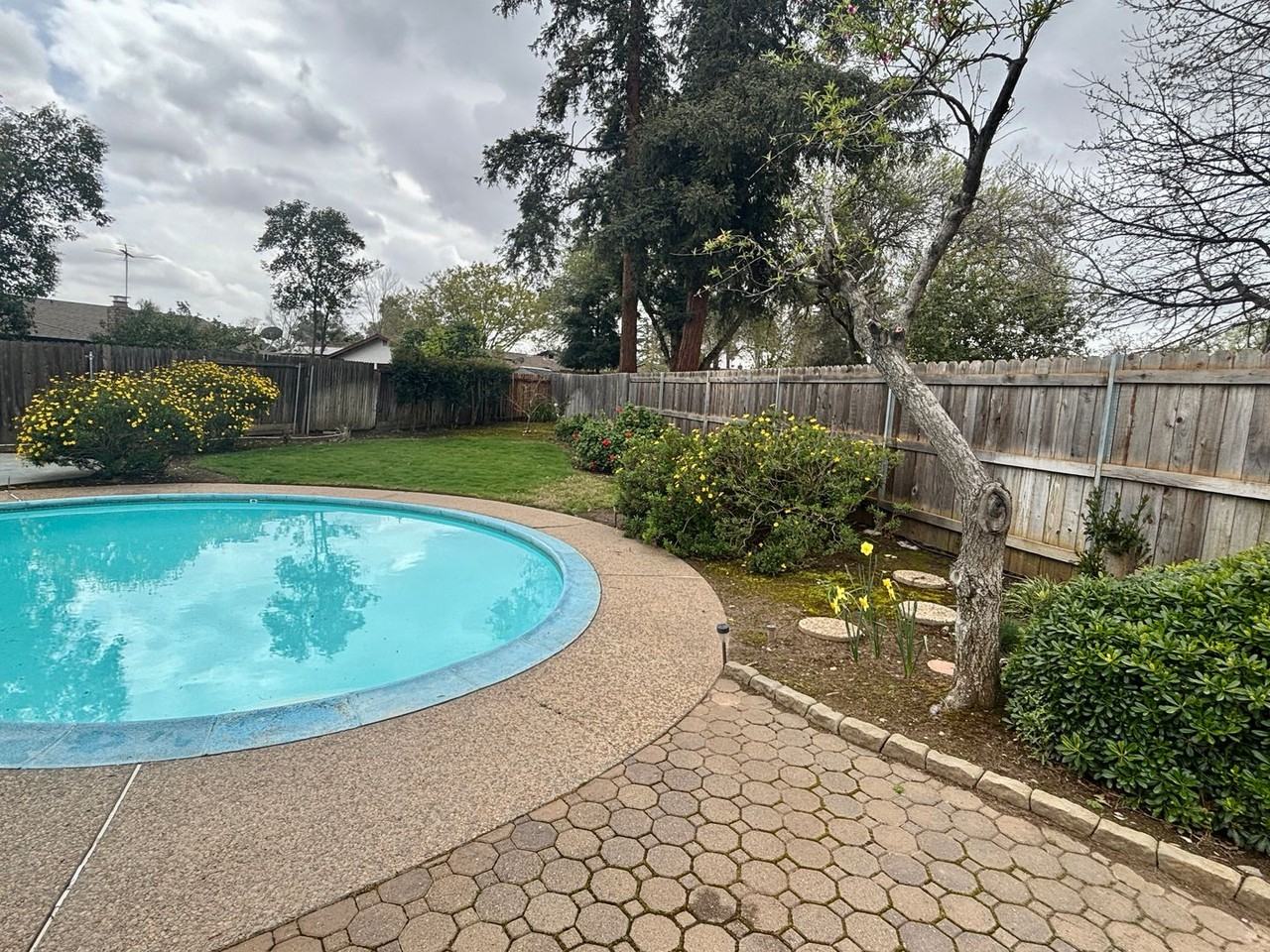 5958 Jeanine Dr - Photo 2 of 15
