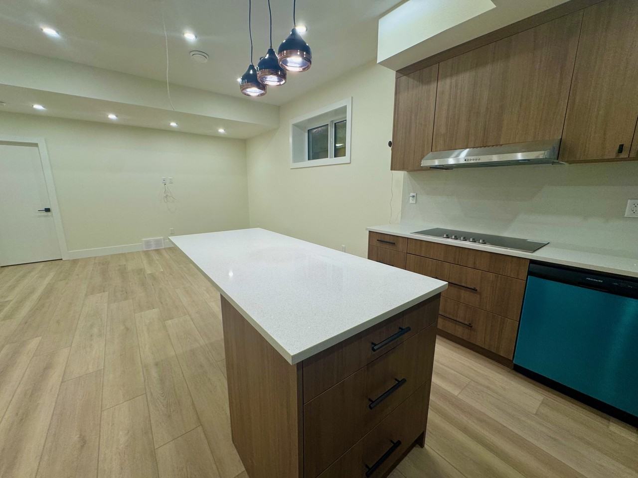 656 Fraser Vista Nw Bsmt #Bsmt - Photo 3 of 17