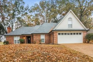 featured image of 8695 Chris Suzanne Cir