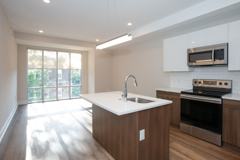 Spruce Square - Photo 1 of 1