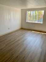 featured image of 133 Stamm Ave