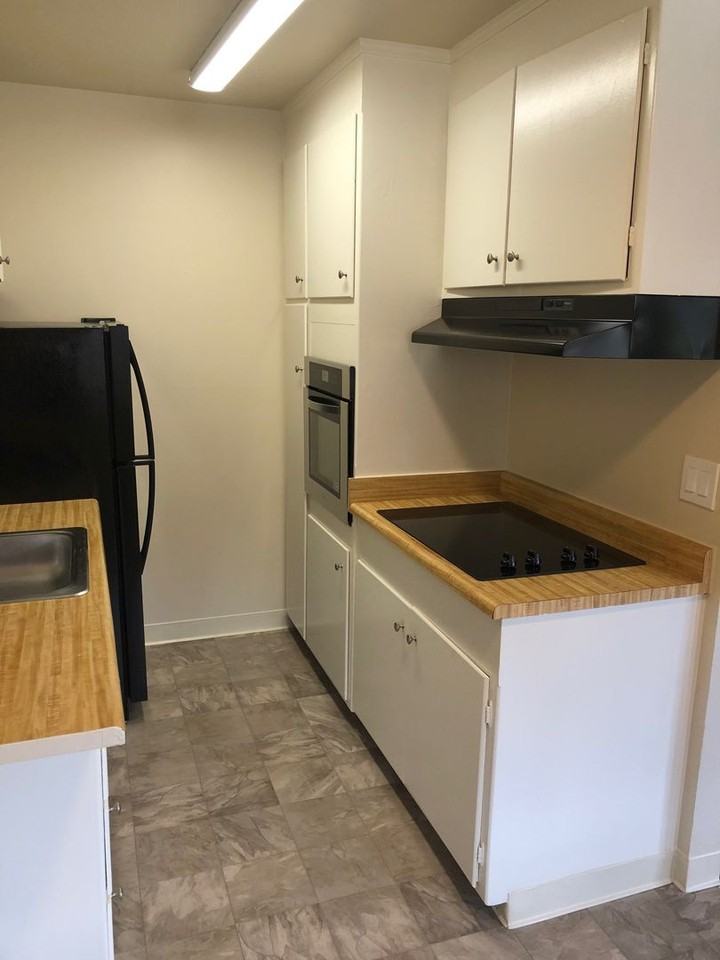 Shangri-La Apartments - Photo 7 of 19