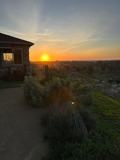 3264 Holly Way - Photo 1 of 1