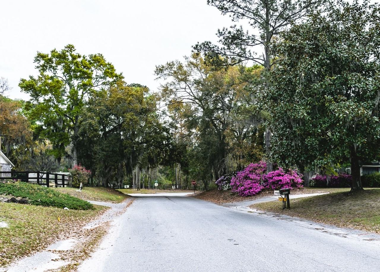 7005 Magnolia St - Photo 2 of 50