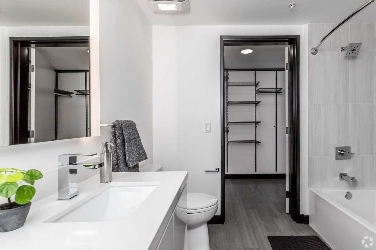 Vida Studio City - Photo 6 of 19