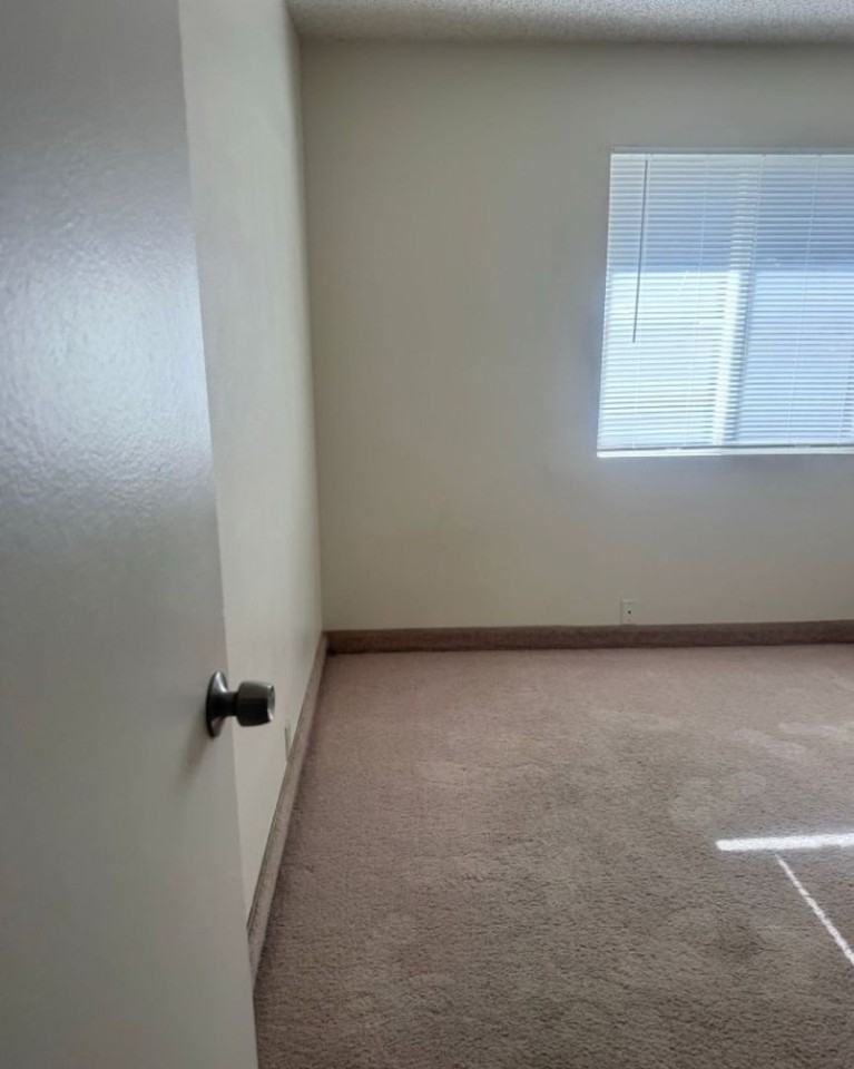 Morris 1227 Pinecone Dr - Photo 4 of 17