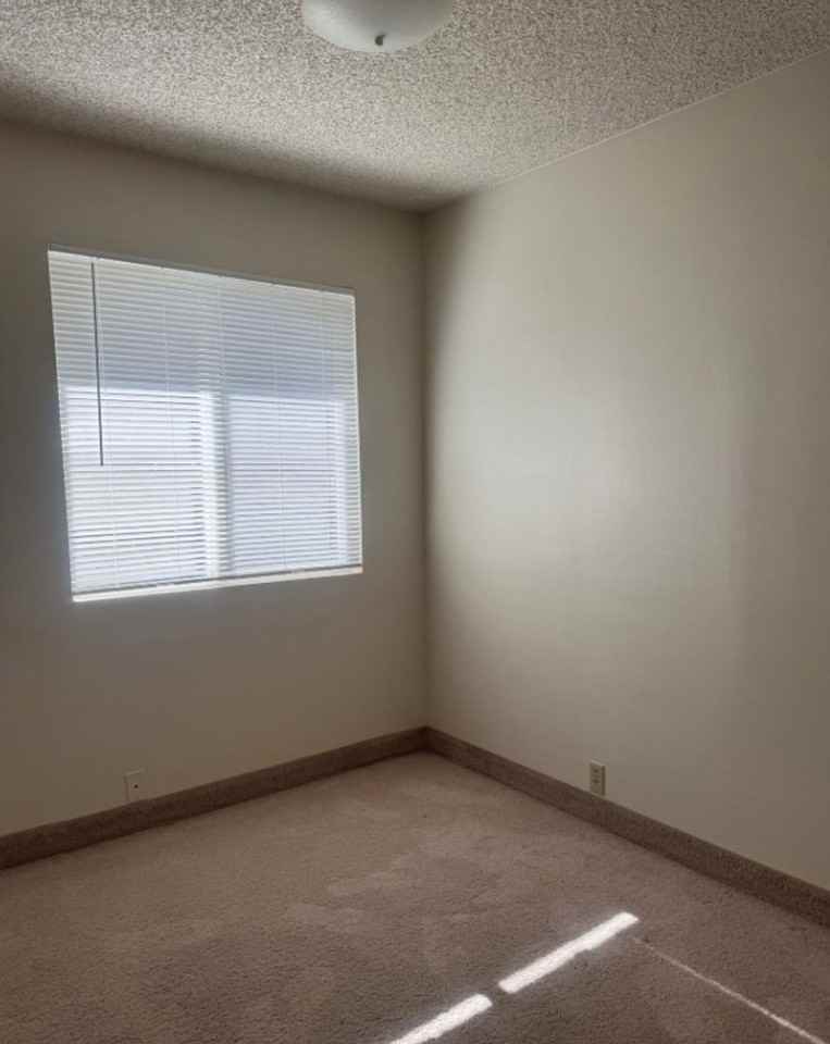 Morris 1227 Pinecone Dr - Photo 5 of 17