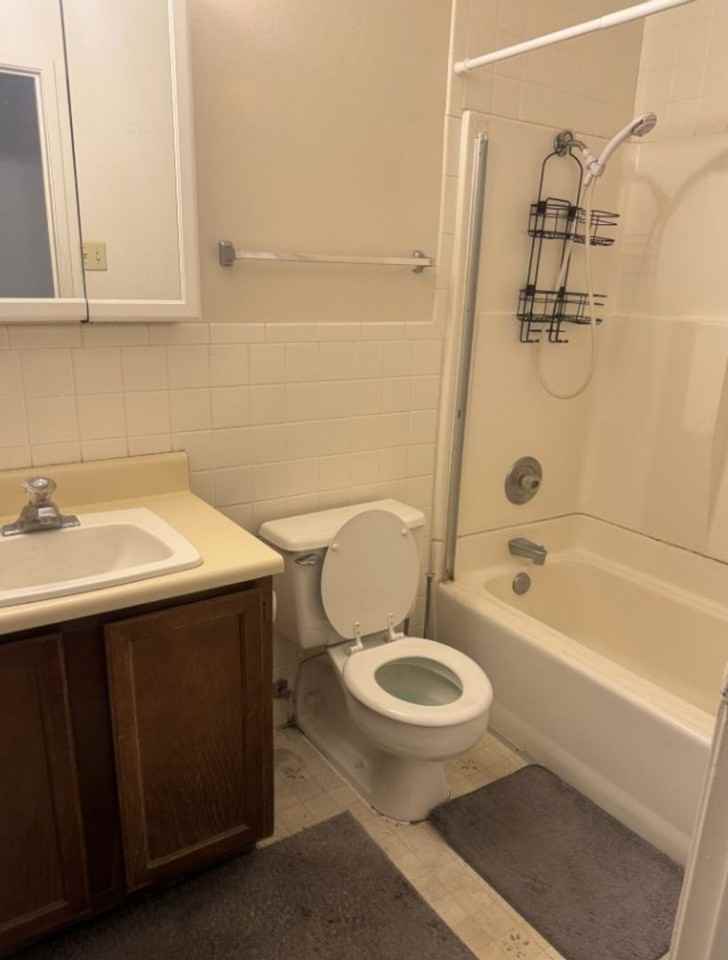 Morris 1227 Pinecone Dr - Photo 7 of 17