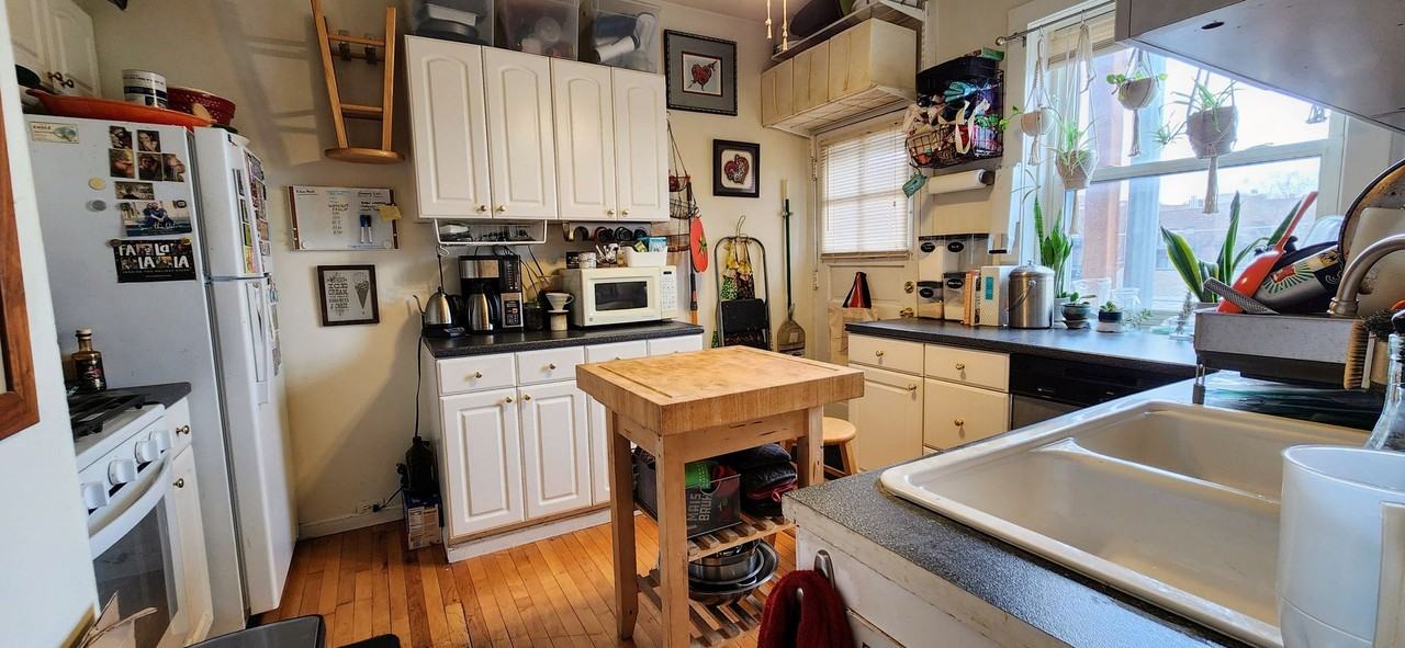 1923 W Belle Plaine Ave Apt 3f #3F - Photo 3 of 11