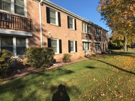 featured image of 86 N Park Ave