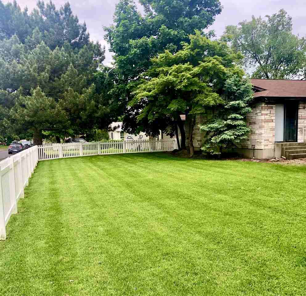 1506 E Nebraska Ave #NA - Photo 3 of 11