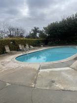 Pinecrest Apartments - Photo 1 of 1