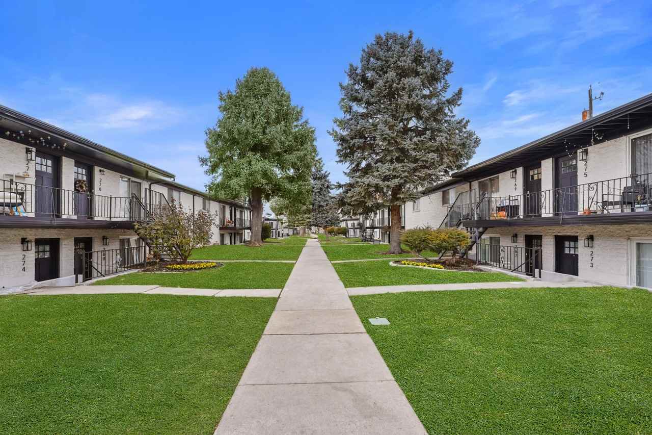 White Pines - Photo 7 of 10