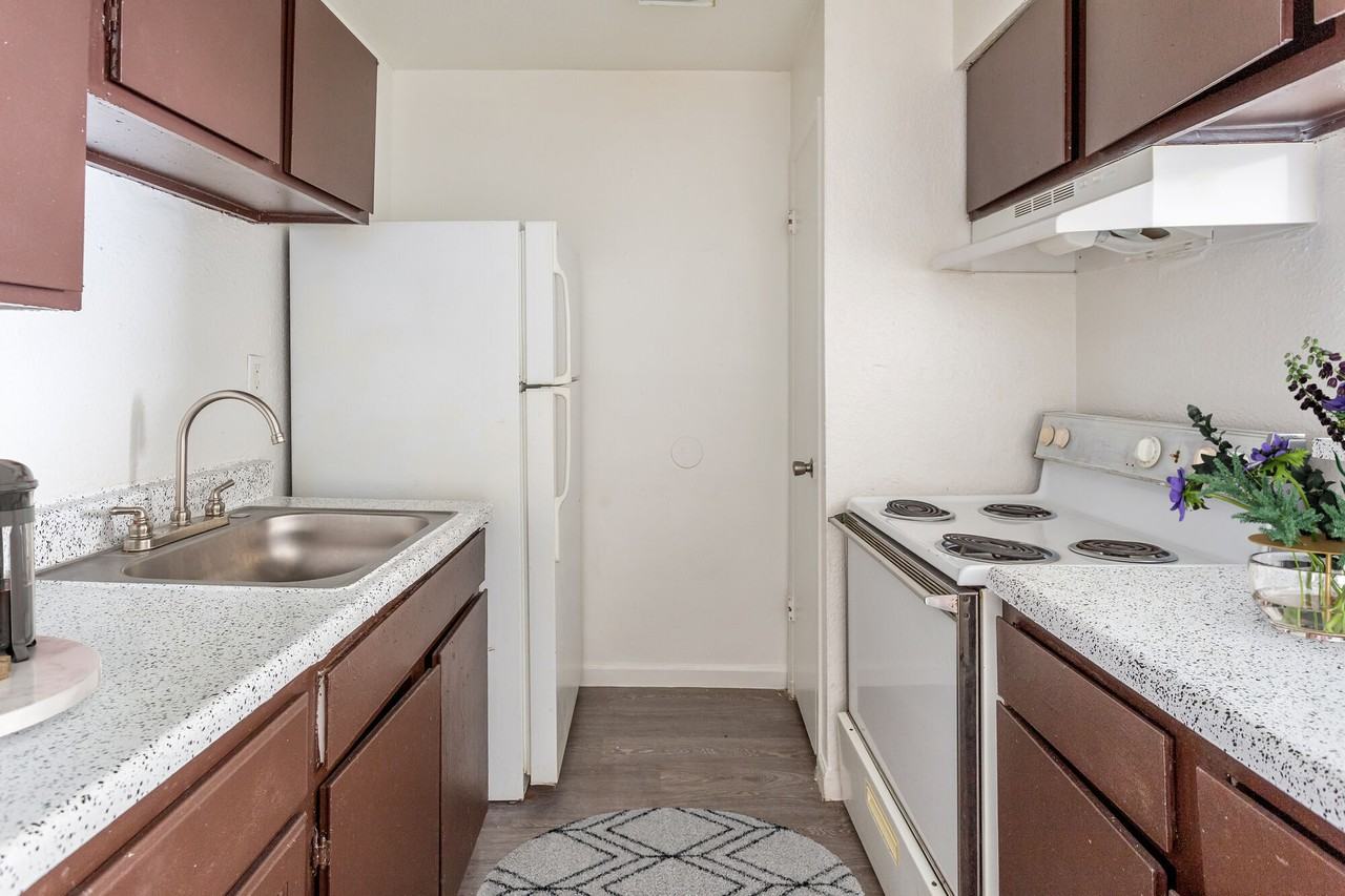 Spring Rose - Photo 3 of 14