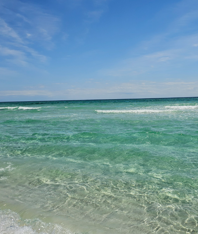 29 Lighthouse Pointe Blvd - Photo 3 of 19