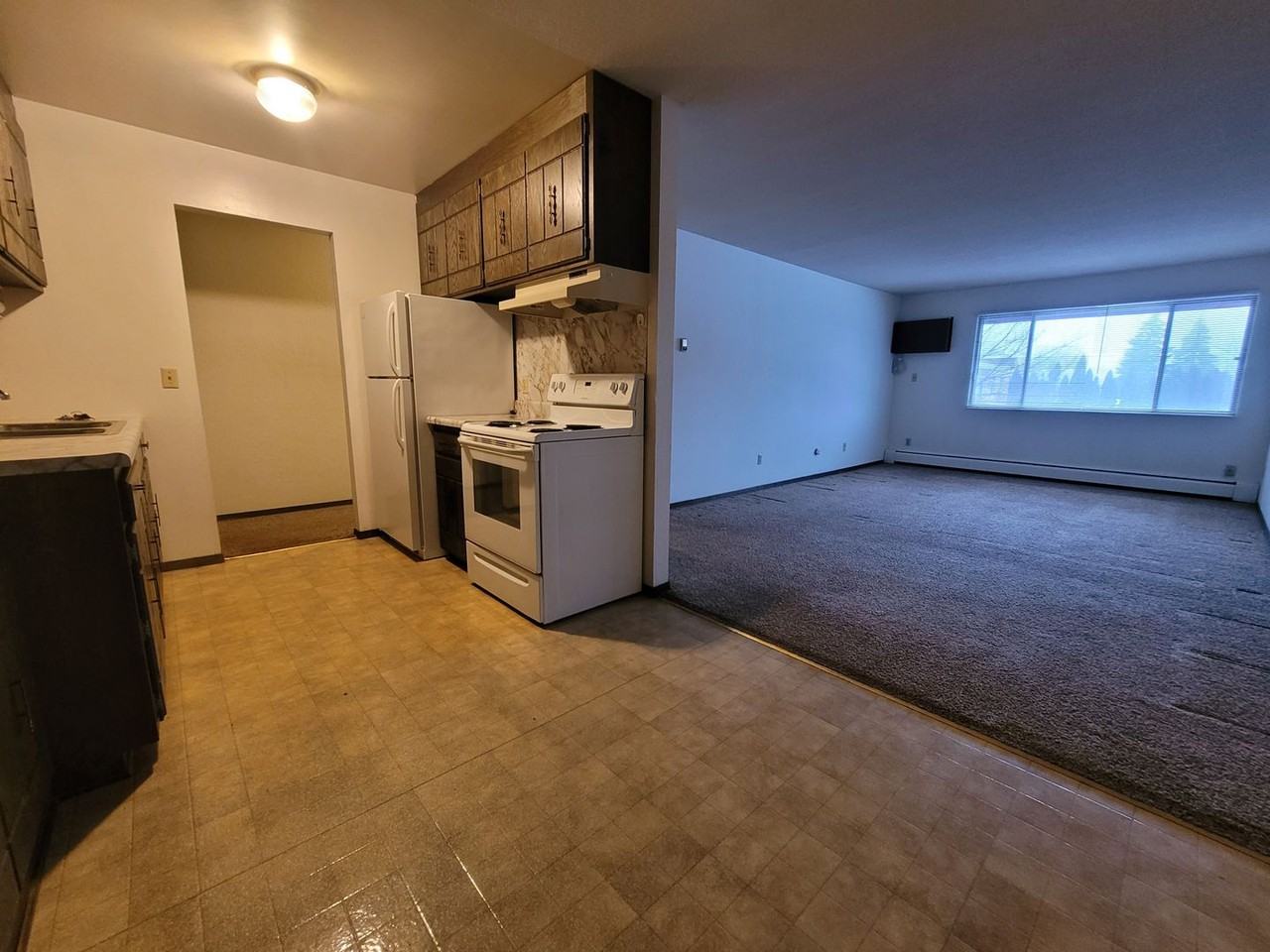 Al new updates in this fantastic Como Park community. - Photo 3 of 9