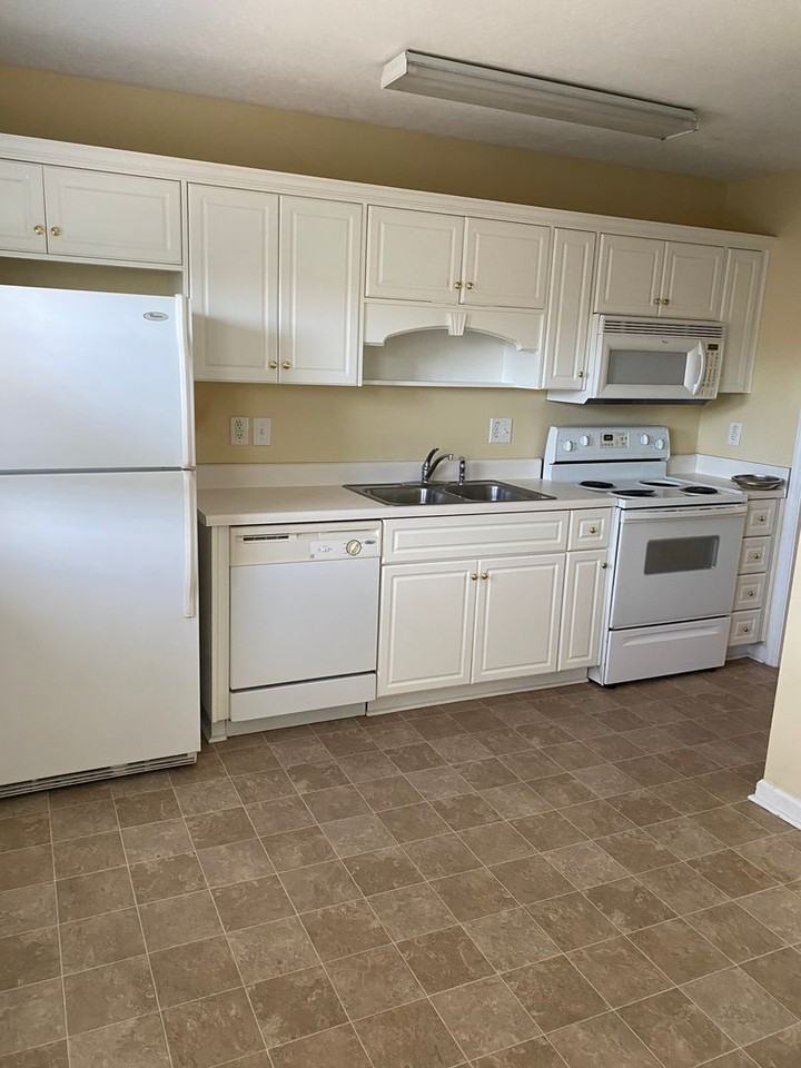 441 Flowing Creek Dr - Photo 2 of 9
