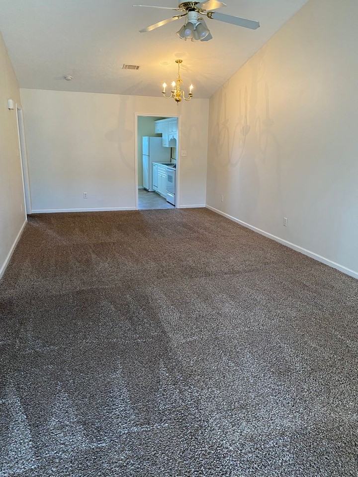 441 Flowing Creek Dr - Photo 6 of 9