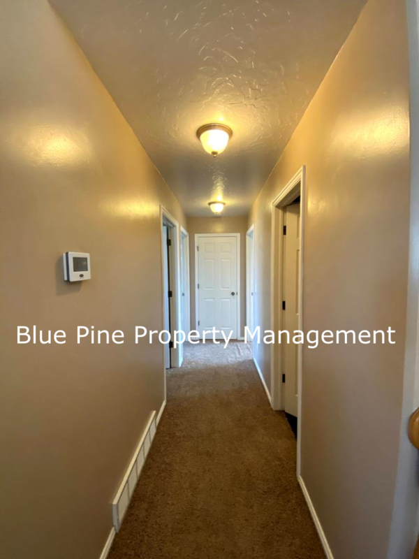 3904 E Lorna Ave - Photo 5 of 16