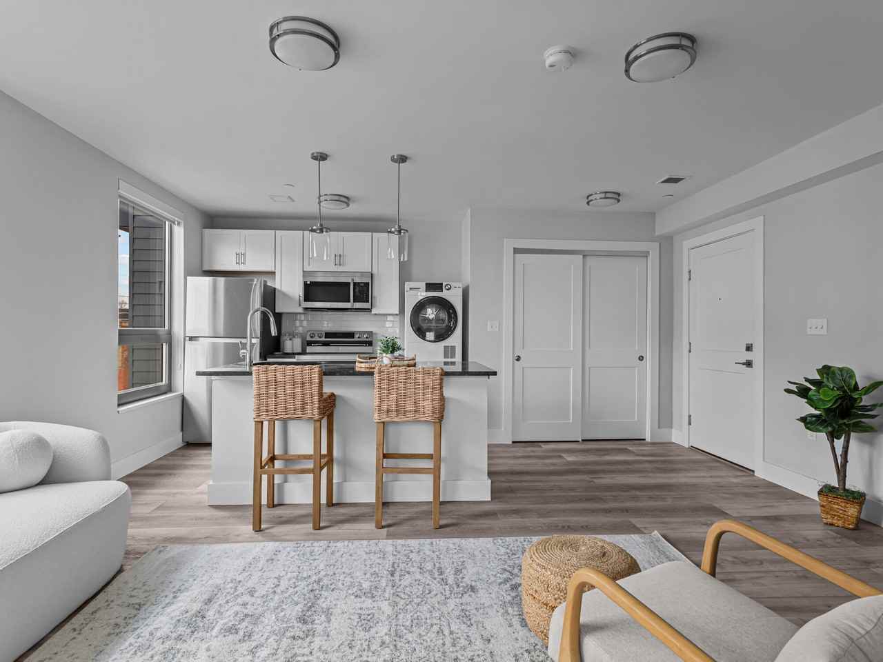 The Willet - Photo 4 of 15