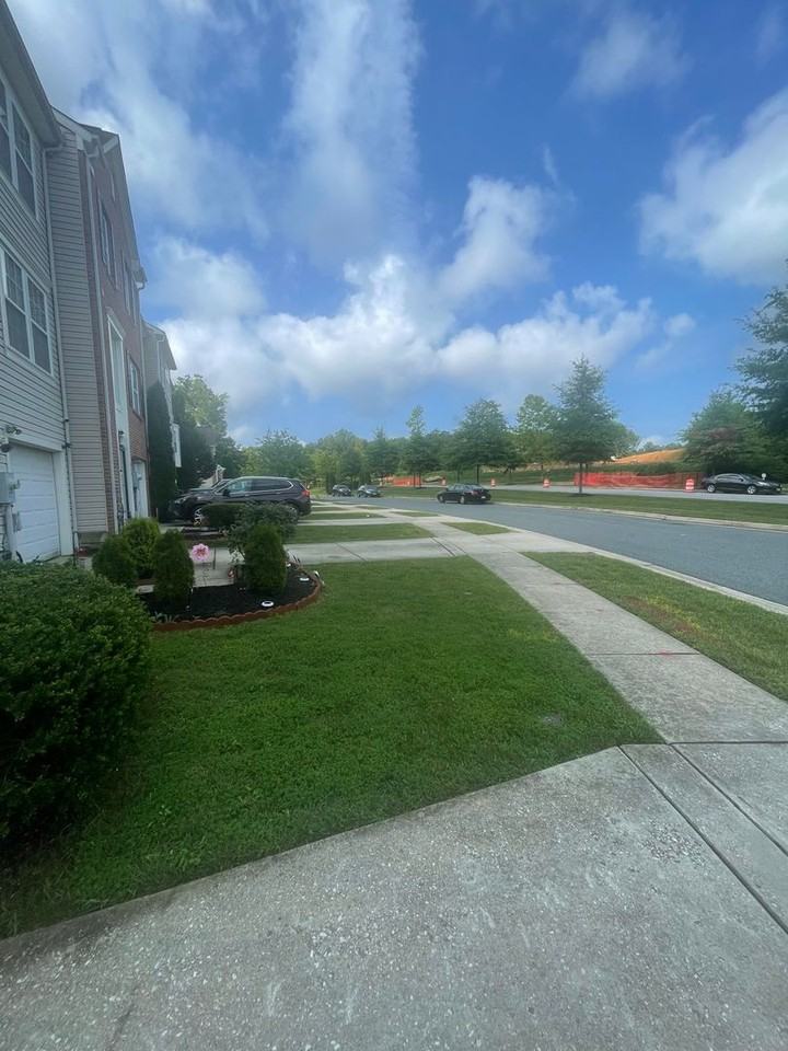 519 Twinleaf Dr - Photo 2 of 29