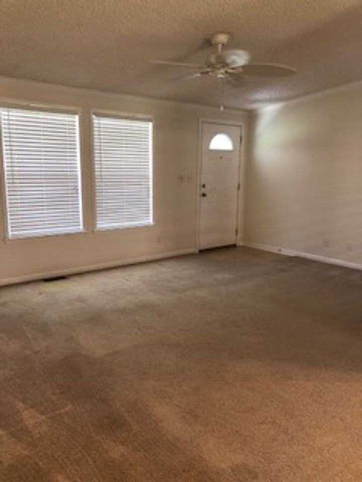 7252 Healthy Plains Church Rd - Photo 3 of 15