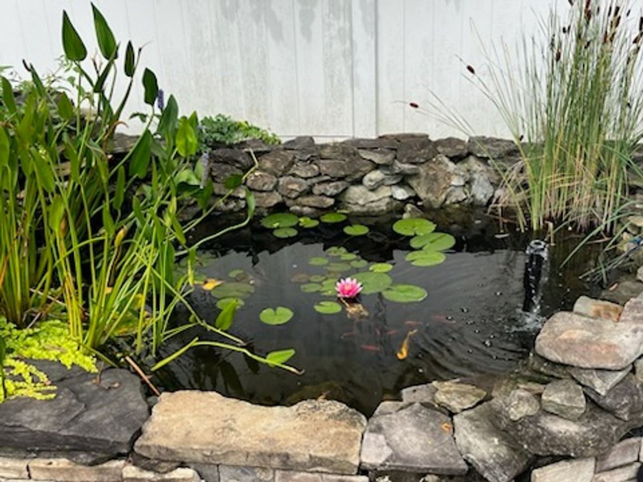 1527 Sherman St - Photo 3 of 13