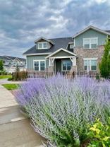 2435 Trio Falls Dr - Photo 1 of 1