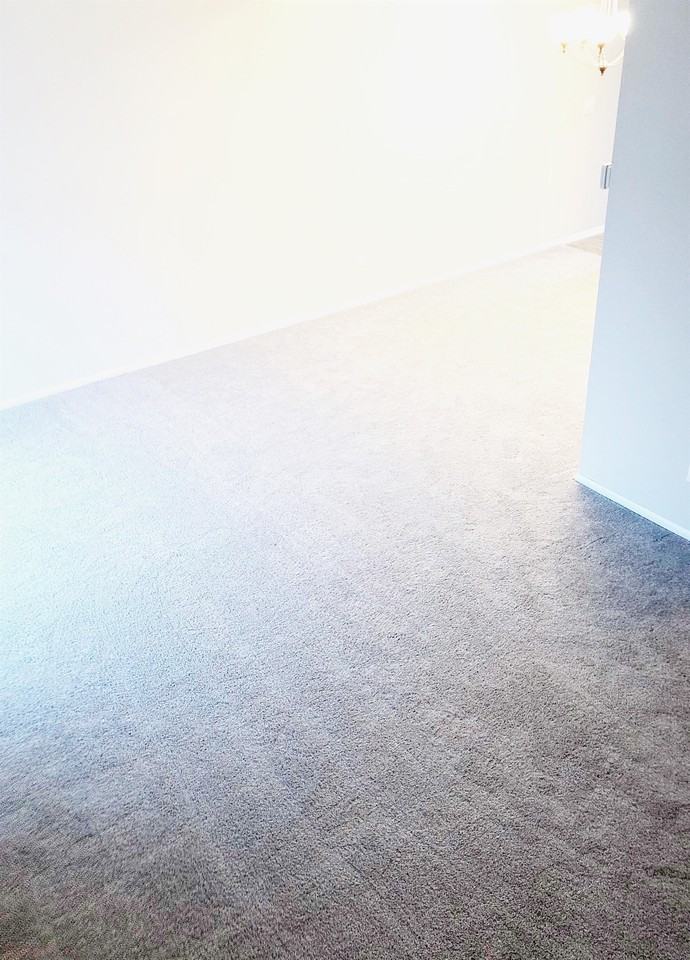 2354 Dorland Ln E #1 - Photo 6 of 18