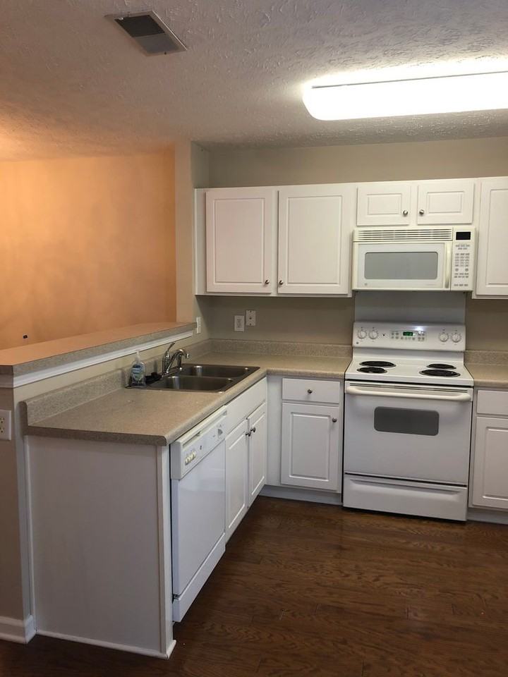 3303 Harpeth Springs Dr - Photo 3 of 15