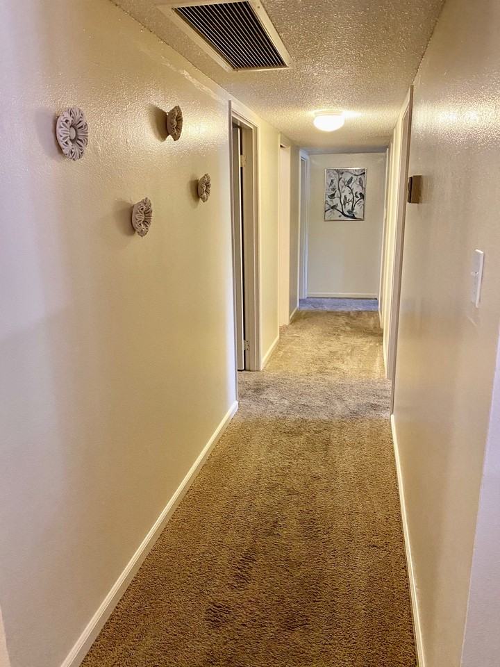 Allegro - Photo 6 of 22