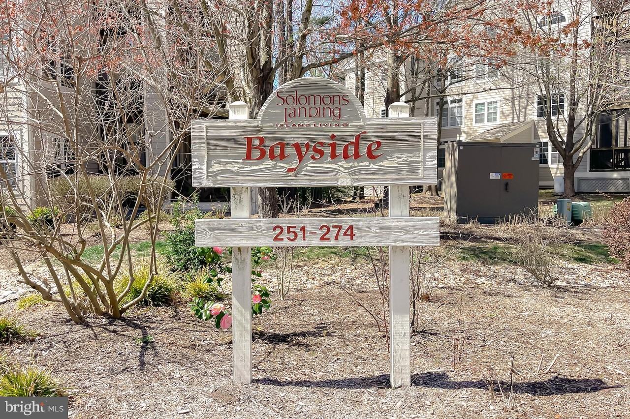 252 Driftwood Ln - Photo 3 of 42