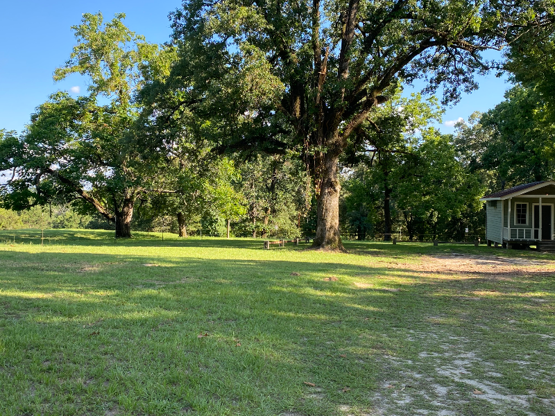 381 Ashley Griggs Rd Rv Lot - Photo 2 of 6