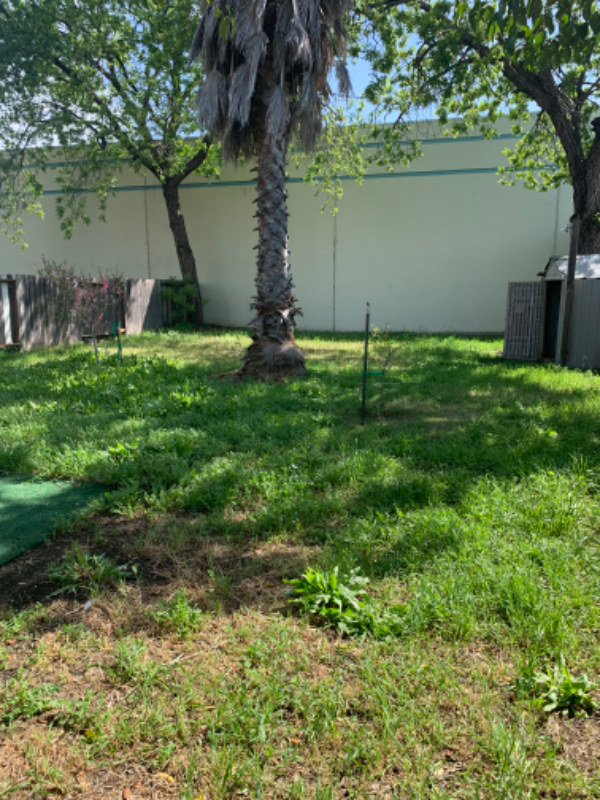 218 Bella Vista Rd #218 - Photo 3 of 10