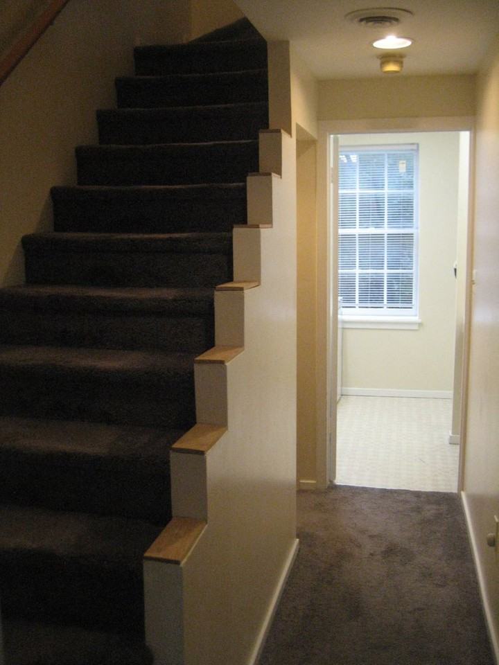 1340 Rodman St - Photo 7 of 18