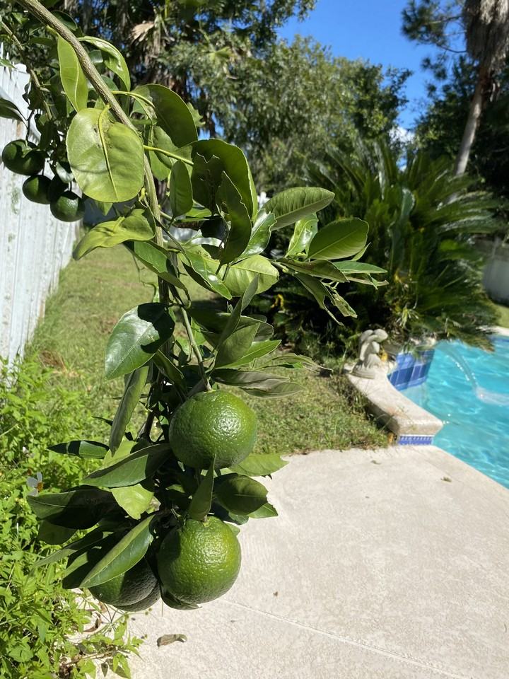 4935 Se 109th St #NA - Photo 2 of 11