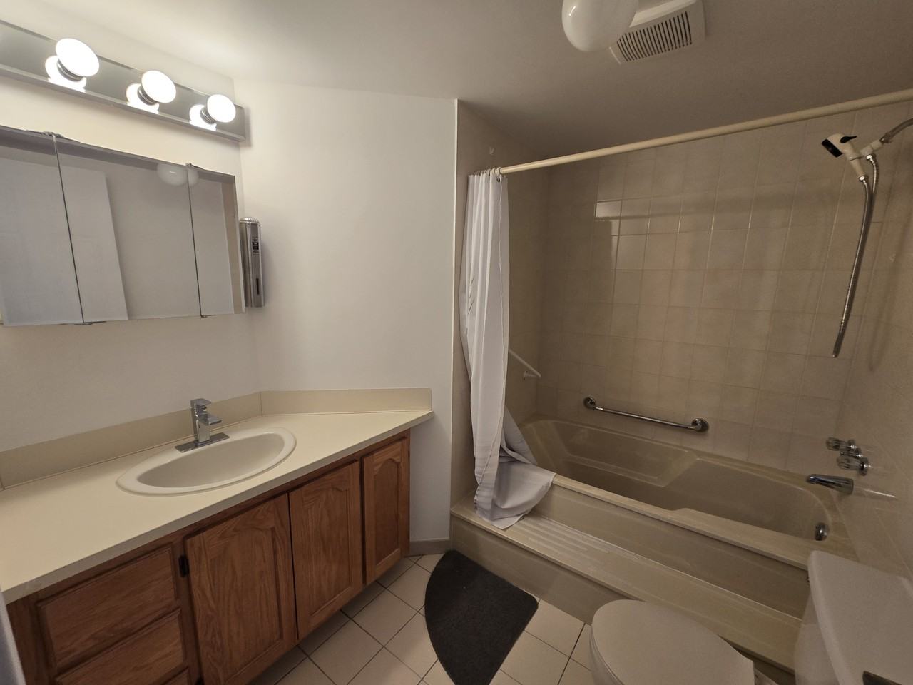 6900 Boulevard des Roseraies - Photo 4 of 20