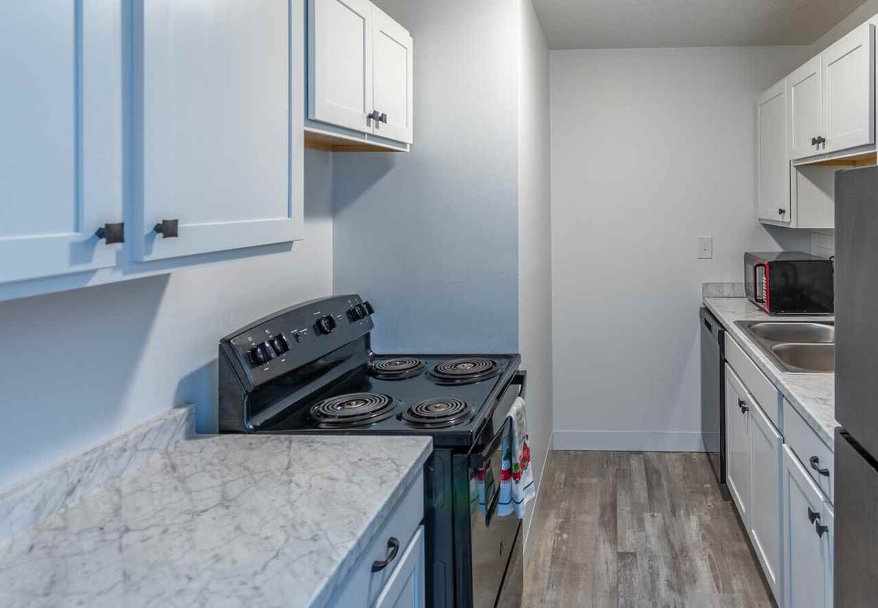 Four Seasons of Mason - Photo 2 of 35