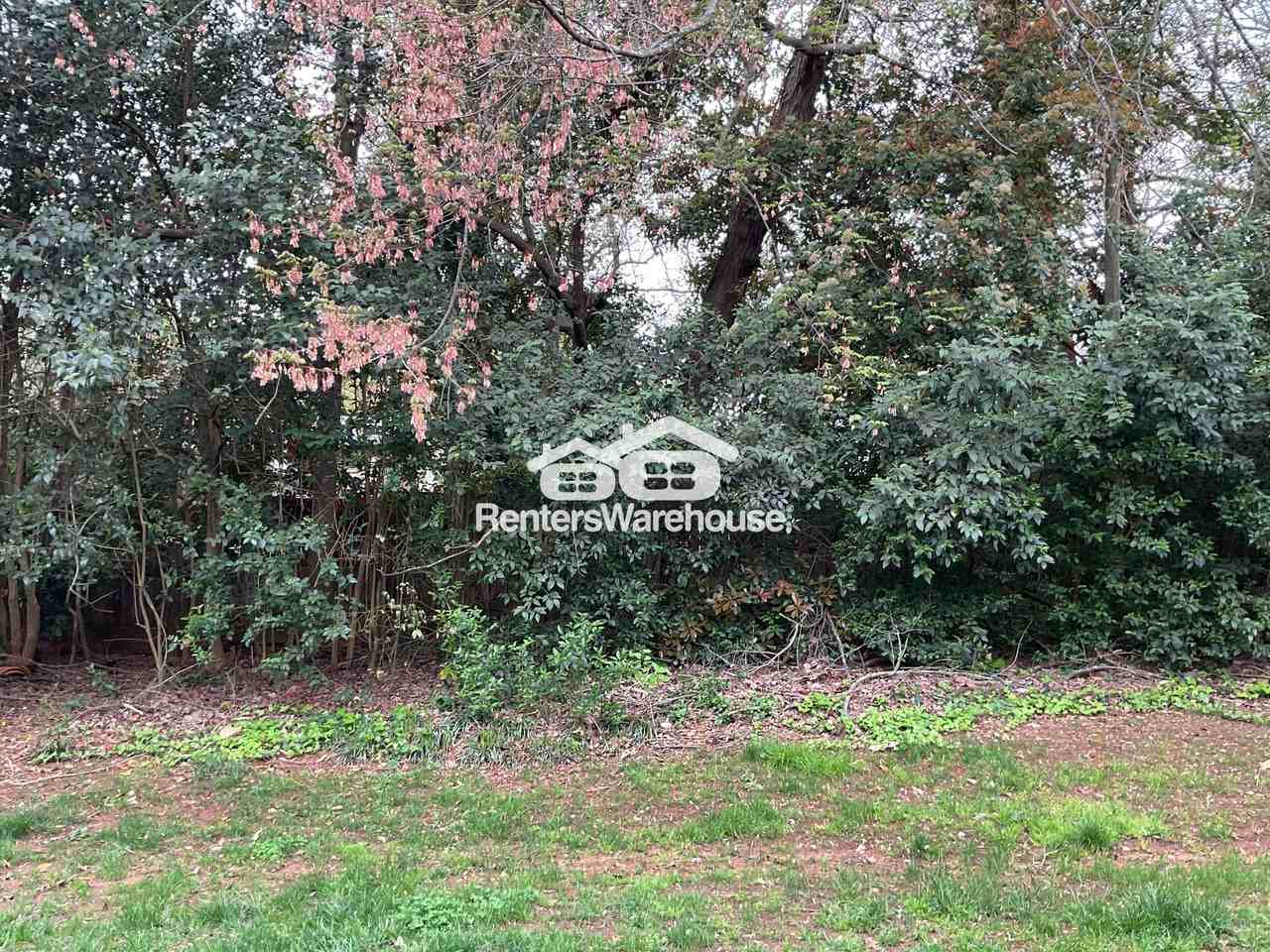 951 Hollywood St #D - Photo 7 of 23