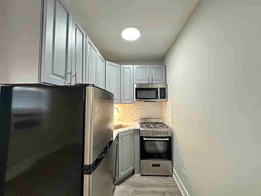505 W Belmont Ave #3F - Photo 3 of 21
