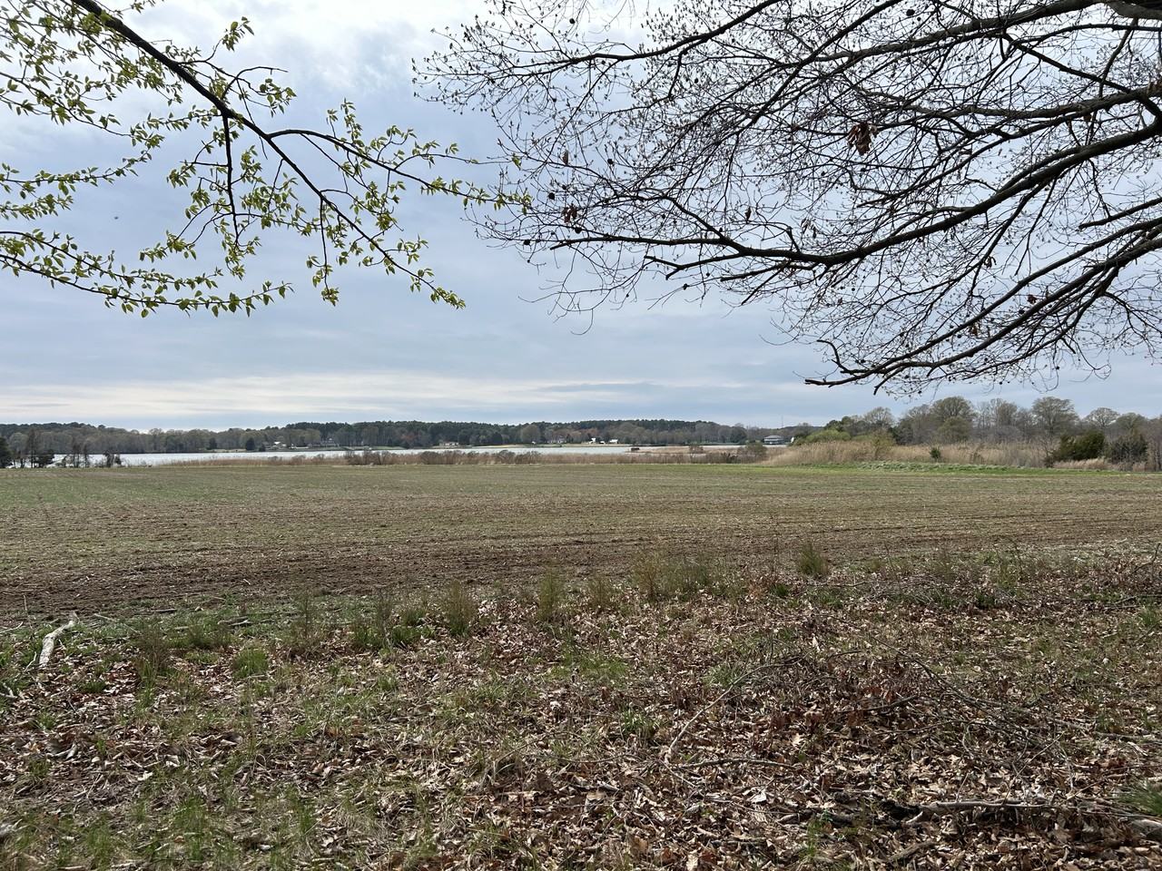 Cedar Point Rd #NA - Photo 2 of 8