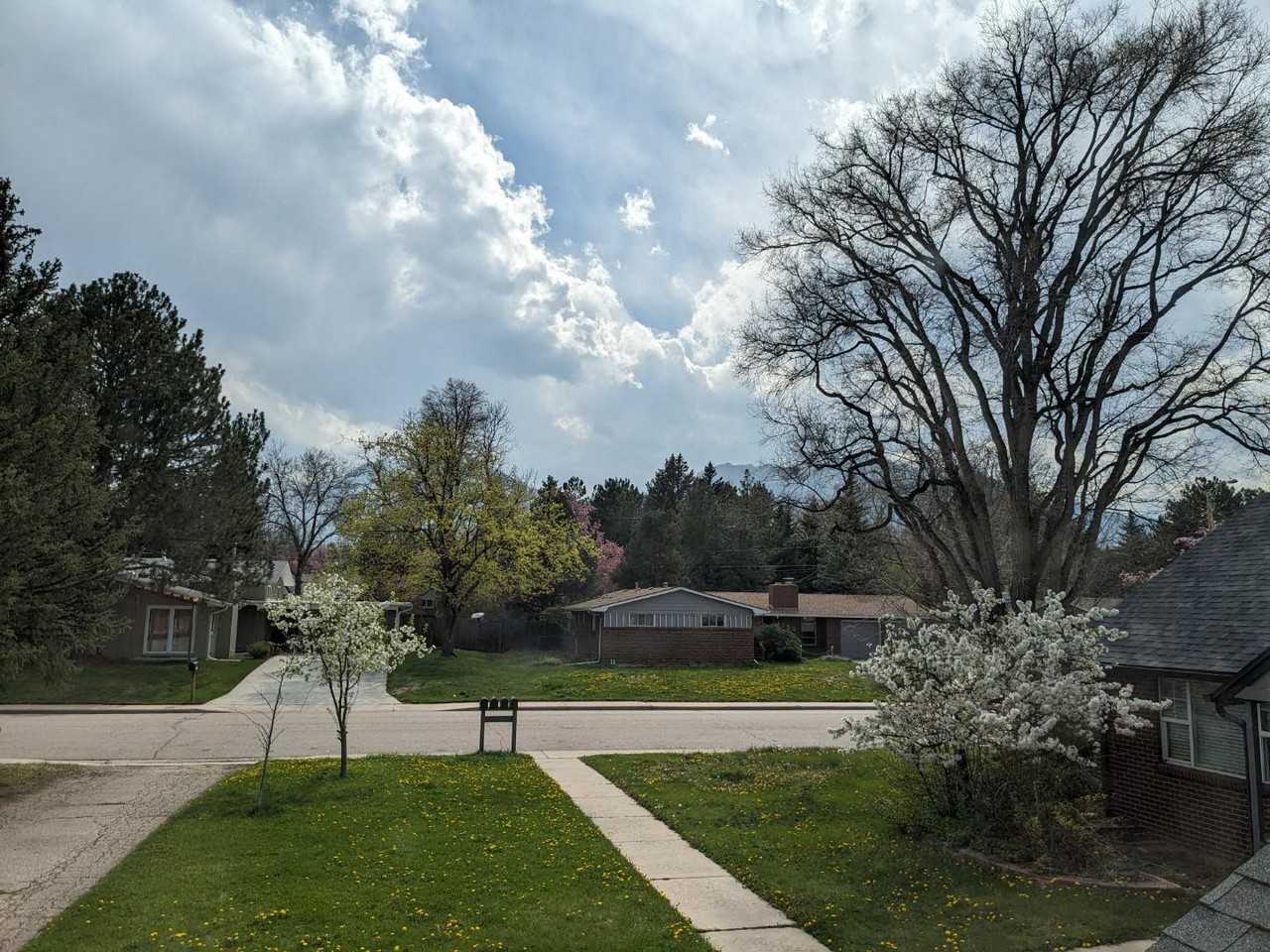 Pensive Platypus, LLC 4365 Comanche Dr, - Photo 2 of 12