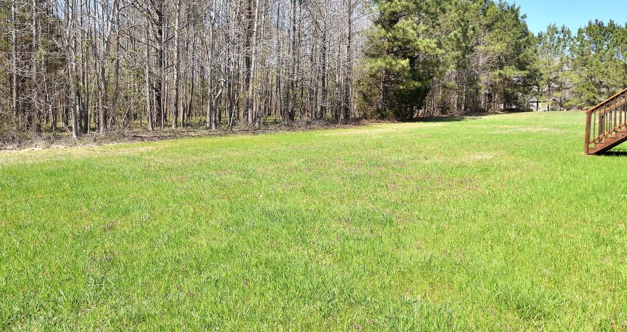 6419 Ripple Rd - Photo 3 of 29