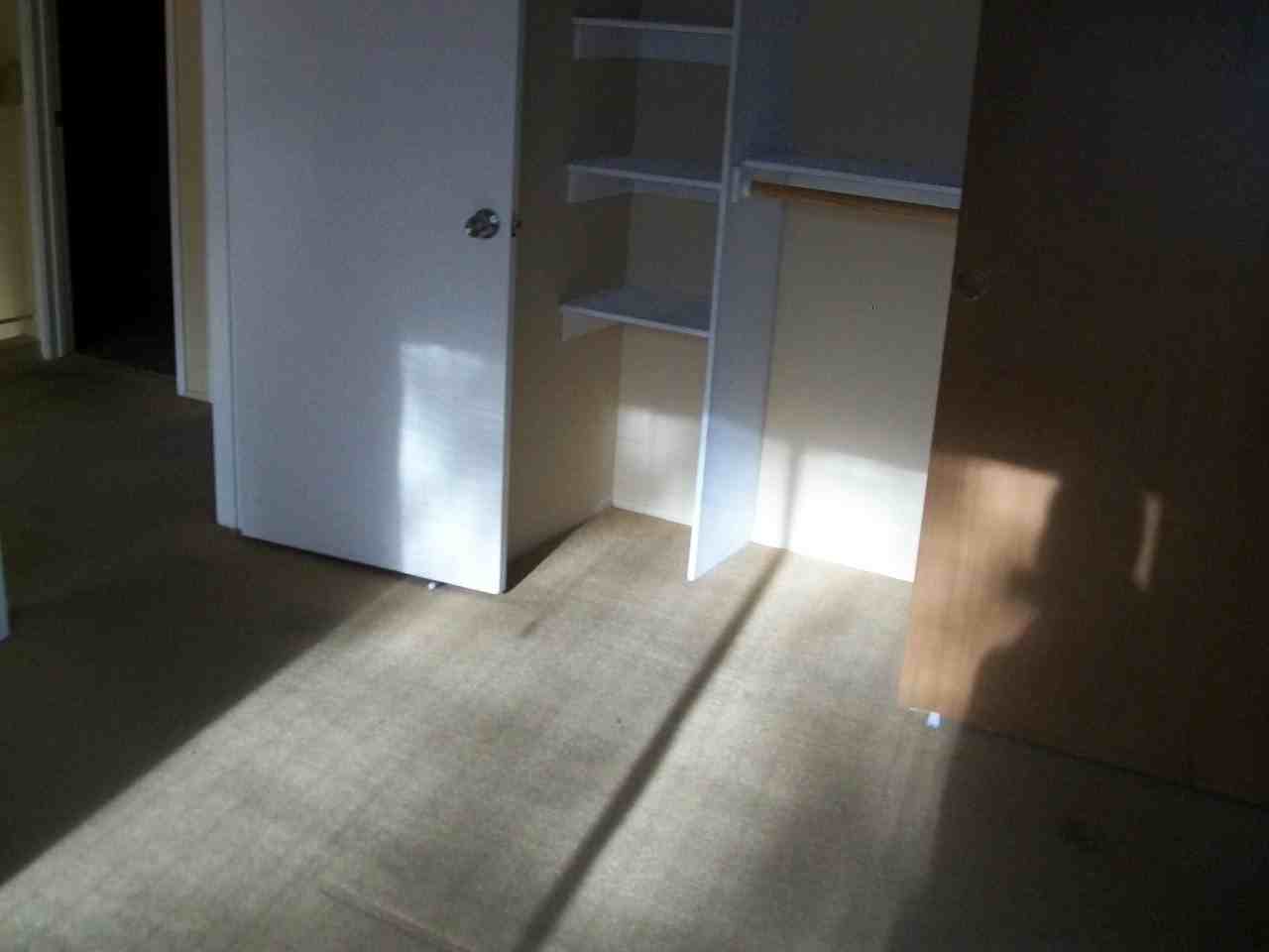 3044 Plaza Lorenzo - Photo 7 of 12